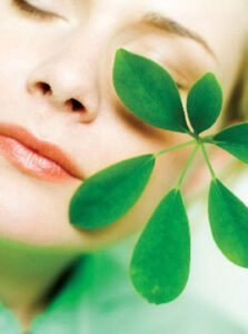 Herbal Acne Remedies Image